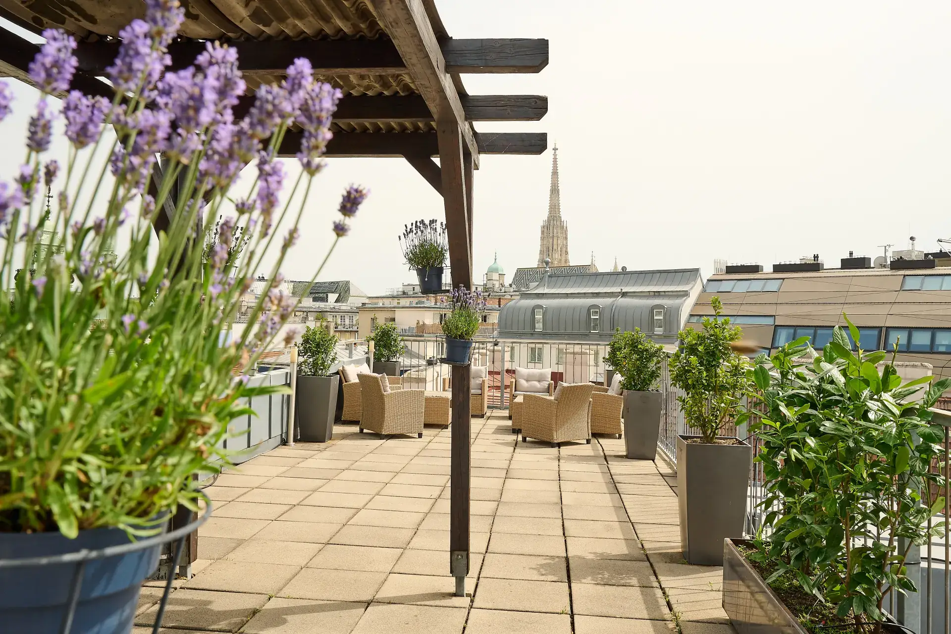 Dachterrasse Pergola mit Stephansdom