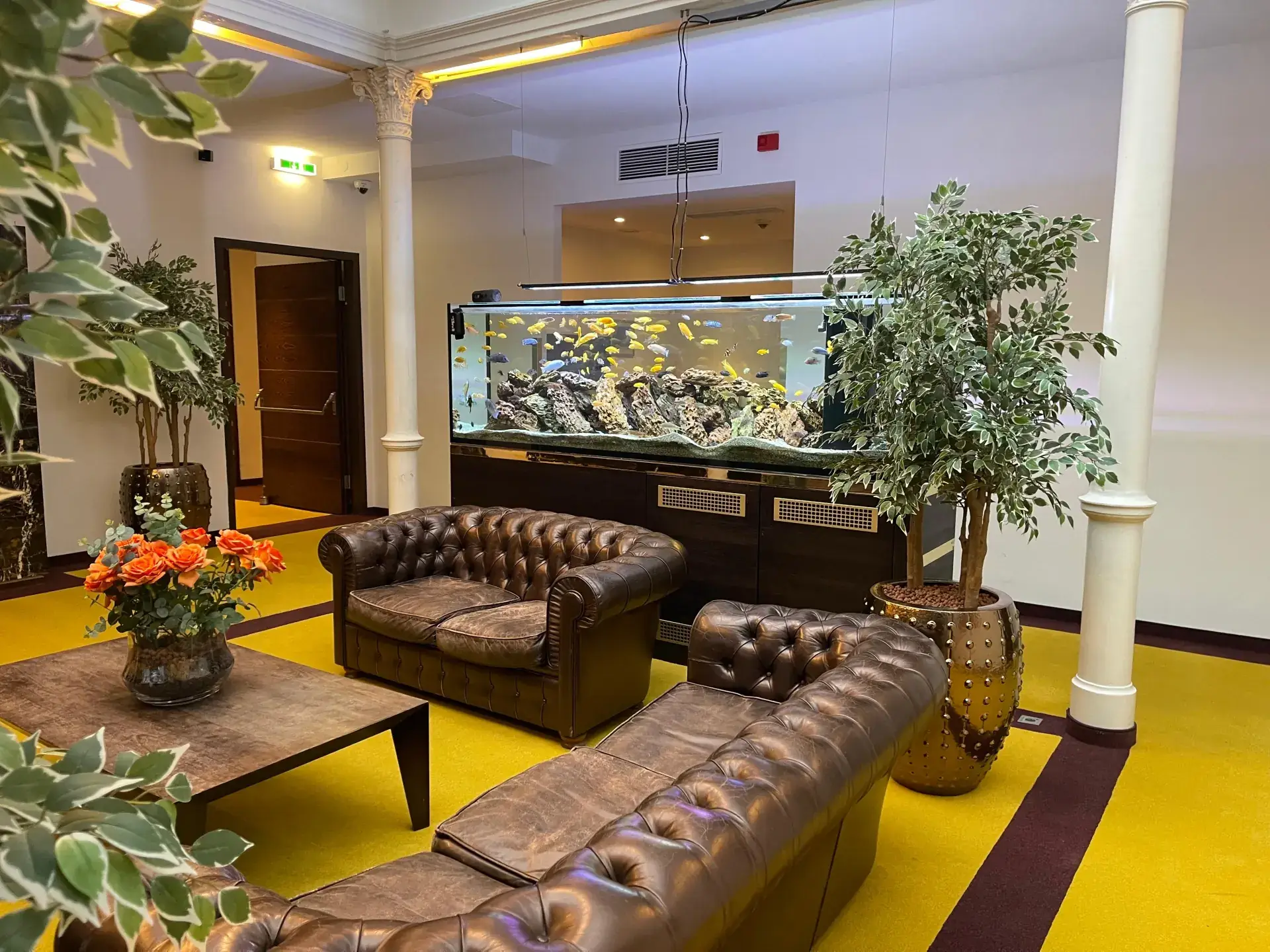 MyPlace Lobby mit Chesterfield & Aquarium