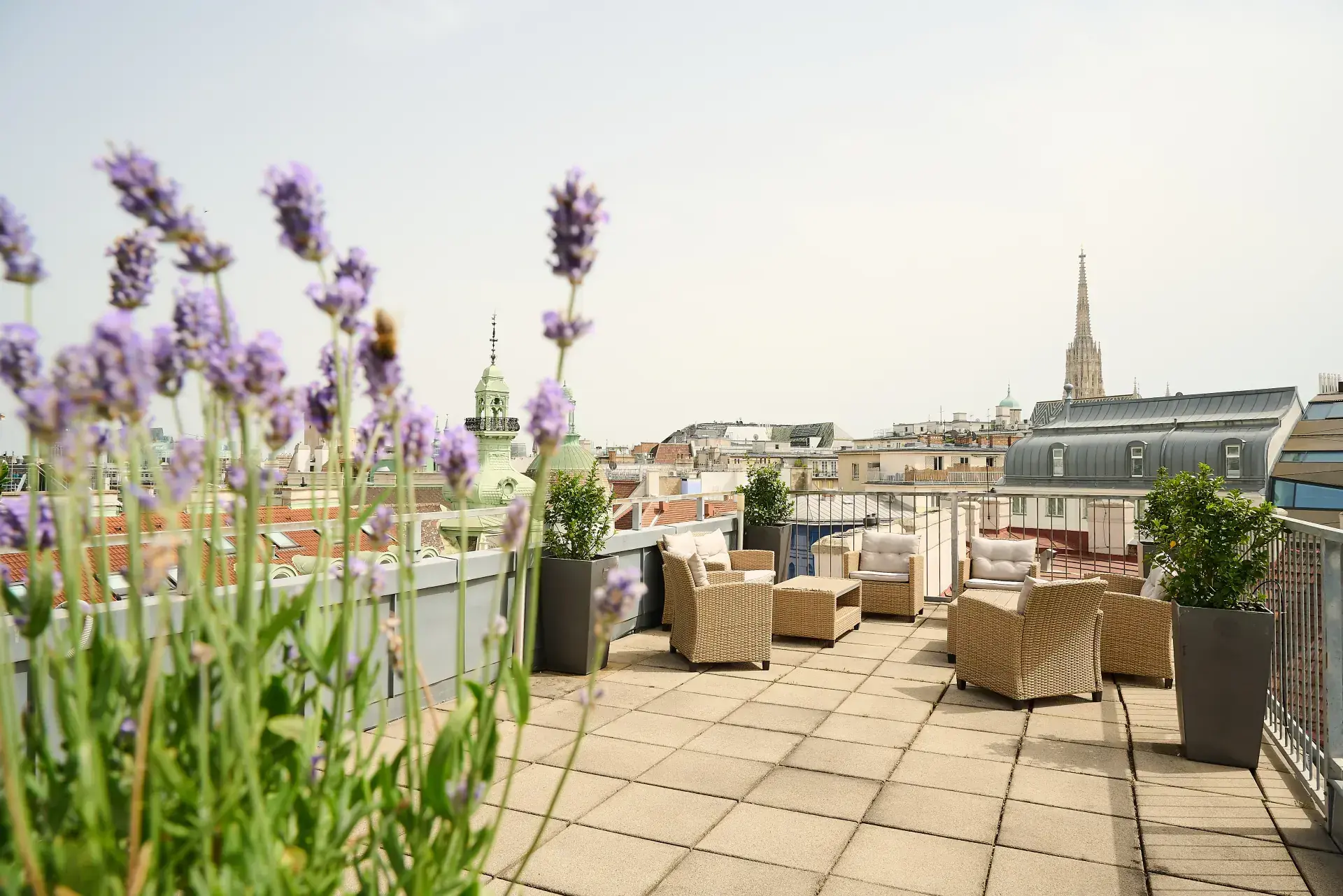 MyPlace Wien Dachterrasse Lounge mit Lavendel